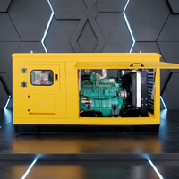 Professioneller Landwirtschafts-Dieselgenerator 20kW 40kW 80kW AC 3-Phasen-Wechselstromgenerator Dieselaggregat für Viehzucht und Landwirtschaft