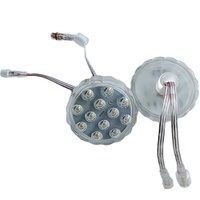 Éclairage de manèges de fête foraine 12 pixels numériques 5050, éclairage ponctuel 70 mm pour grande roue, éclairage LED RVB pour attractions, lumière de fête foraine RVB 24V