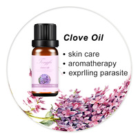Huile essentielle de clou de girofle pure et naturelle sans eau, fournie par l'usine, pour diffuseur, huile dentaire au clou de girofle