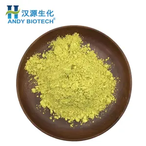 Alta calidad Natural Sophora Japonica extracto 98% polvo de quercetina anhidra