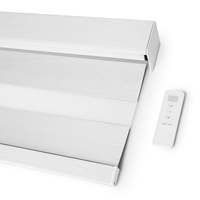 Persianas Enrollables Automáticas Inteligentes con Panel Solar, Motorizadas, Tipo Zebra, para Ventanas Francesas, Precio de Fábrica, Personalizadas
