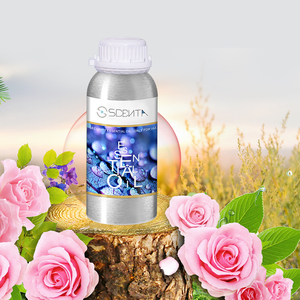 SCENTA-difusor de Aroma de alta calidad con logotipo personalizado, aceite esencial de aromaterapia sin agua, té blanco Natural, 500Ml - Product Image 4