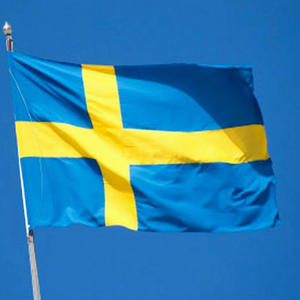 RTS couleur vive extérieur friture grande bannière pays sate drapeau décoration <span class=keywords><strong>club</strong></span> célébrer festival Suède drapeaux nationaux - Product Image 6