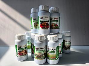 Le nutriment avancé de thé à base de sélénium améliore la teneur en sélénium du thé et ses bienfaits pour la santé engrais foliaires pour théier - Product Image 4