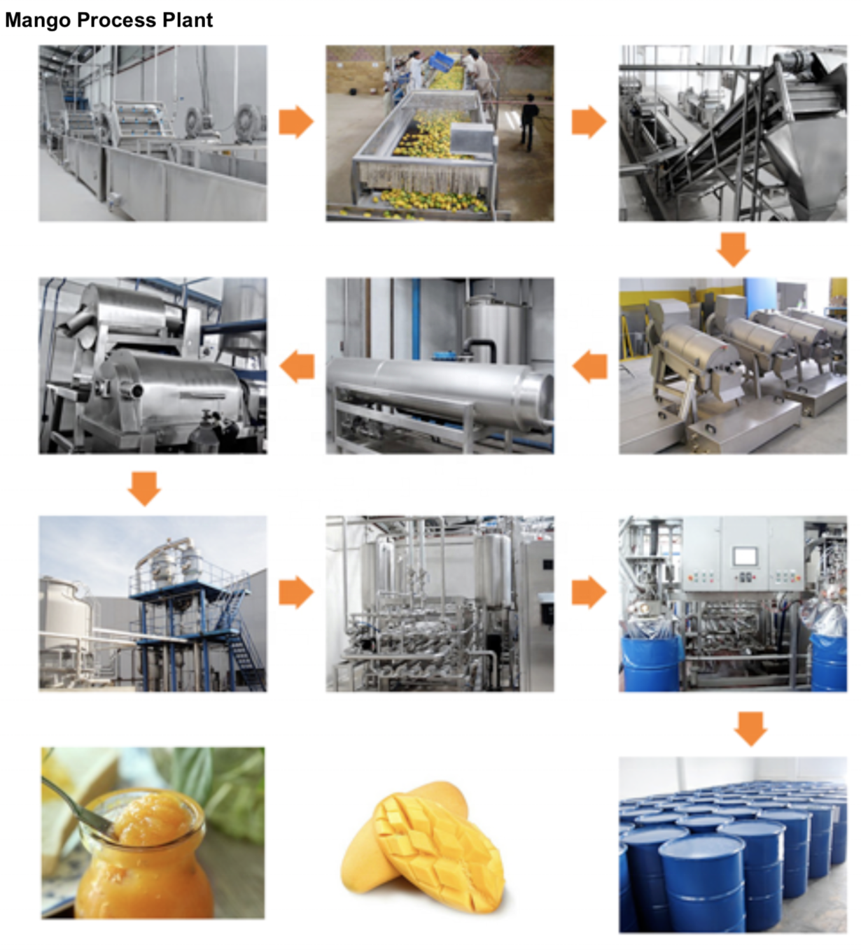 Full Set Mango Juice Processing Plant Small Fruit Production Line