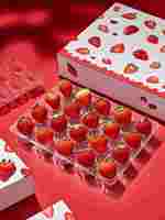 Contenants d'emballage empilables pour fraises, coquilles en PET résistantes aux chocs avec trous d'aération pour l'expédition longue distance