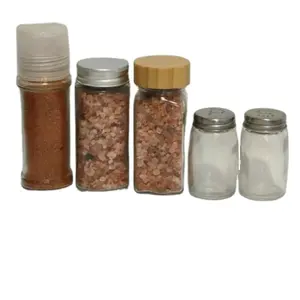 Wholesale cheap 50ml 60ml 100ml glass spice jars salt and pepper shaker with metal lid