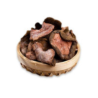 Champignons Suillus Rubricontextus comestibles Champignons Suillus Rubricontextus rouges sauvages naturels à vendre