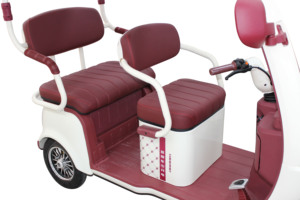 New Energy Solar Electric 3-Wheeler Self-Charging Motorized Adult Tricycle with Heavy-Duty Wheels Roof Open Body Electric <strong>Trike</strong> - Product Image 5