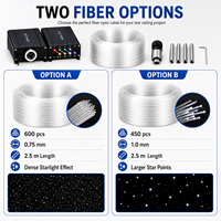 Kit de lumières étoiles à fibre optique 25W à double moteur RGBW 12 canaux pour plafond de voiture