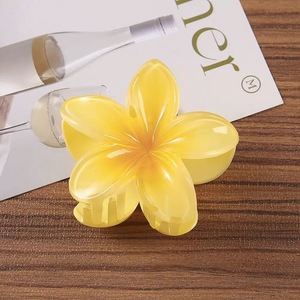 Pinza para el Cabello con Forma de Flor de Huevo en Colores Pastel, Accesorio para el Cabello Transparente Inspirado en Vacaciones Turísticas - Product Image 2