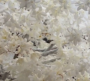 Thiết kế sáng tạo khách sạn Mall trong nhà trang trí đám cưới trắng hoa cây sợi thủy tinh nhân tạo cây bạch dương Blossom cây - Product Image 4