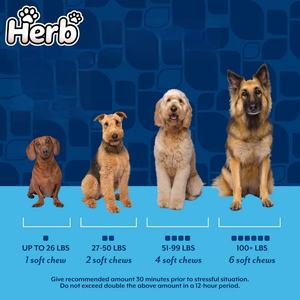 Suplemento Probiótico Masticable para Mascotas de Marca Privada OEM/ODM, Favorece la Digestión Intestinal, Aumenta la Inmunidad, Suplemento Premium para la Salud de las Mascotas - Product Image 5