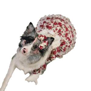 Vêtements pour animaux de compagnie de luxe OEM ODM, robe Lolita moderne pour chiens, été, printemps, hiver, XL, polyester, nouveaux vêtements pour chiots - Product Image 1