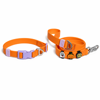 Ensemble collier et laisse pour chien en PVC imperméable pour Halloween, breloques détachables à thème de dessin animé, collier et laisse ajustables personnalisés pour chiens
