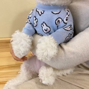 Cappotto Imbottito di Lusso con Motivo a Coniglio per Cuccioli, Maglione per Cani di Piccola Taglia, Design con Coniglio per Animali Domestici - Product Image 3