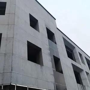 Çin açık dekorasyon için profesyonel duvar kaplama yüksek kalite kalsiyum silikat levha