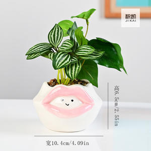 सिरेमिक प्यारा कार्टून पशु रसीला बर्तन हाथ से चित्रित ओपल पांडा व्यक्तिगत रचनात्मक बगीचे बर्तन - Product Image 2