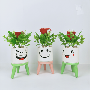 Casa decoración de interior Mini verde Artificial <span class=keywords><strong>plantas</strong></span> suculentas <span class=keywords><strong>con</strong></span> plantador de cerámica - Product Image 4