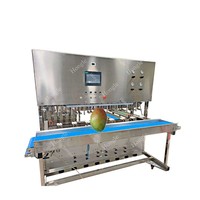 Mango Schilmachine 1000-1300kg/uur 8-station automatische mango schiller fruit & groente schilmachine