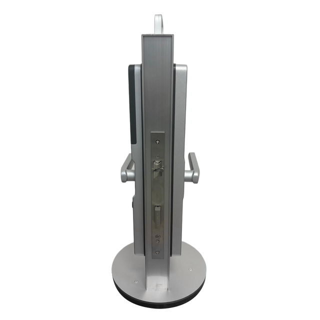 Digital Smart Lock Built-In Camera Steel Door Dummy Password Black Silver Color Aluminum Material Memory Card Data Automatic