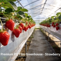 Film de serre PO à 7 couches pour la culture de légumes et de fruits, 80-200 microns, 92% de transparence, anti-goutte, résistant aux UV, couverture de serre