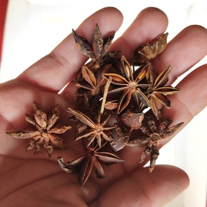 1 kg de Anís Estrellado Chino Natural Seco (Ba Jiao Badian, Illicium Verum), Frutos Secos para Especias, Marca Chengyitang, Bozhou, China, 1 Año - Product Image 2