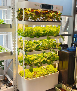 Kit de sistema de cultivo hidropónico tipo gabinete de microgreens con luz Led inteligente para cultivo de jardín doméstico vertical - Product Image 1