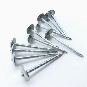 Clous de toiture à tête de parapluie électro galvanisés 2.5 pouces * 9G lisses/torsadés - Product Image 3