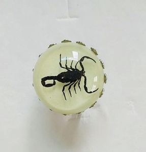 Anello con Insetto Regolabile in Resina, Gioiello Luminoso al Buio con Vero Scorpione Giallo e Nero per Uomo - Product Image 4