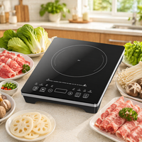 Mini cuisinière à induction portable intelligente, plaque de cuisson électrique à écran tactile pour usage domestique, fabriquée en plastique durable
