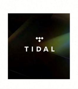 Suscripción Premium a Tidal Music por 12 Meses, Cuentas Tidal, Tidal Hifi Plus 1 Año - Product Image 2