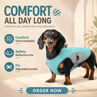 Gilet rafraîchissant réfléchissant pour chien avec maille évaporative et crochet de laisse arrière – Idéal pour les promenades en extérieur