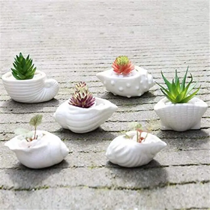 6 Stks/set Witte Keramische Shell Vlezige Bloempot Conch Mini Bloem Plant Pot Planter Desktop Ornamenten Huis Tuin