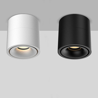 Spots encastrés modernes à LED en aluminium noir et blanc réglables à trois têtes pour usage domestique et commercial