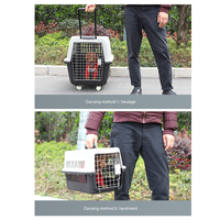 Nouveau design de caisse de luxe pour animaux de compagnie approuvée par les compagnies aériennes boîte à air personnalisée en gros cage en plastique pour chien chat transporteurs pour animaux de compagnie pour le voyage