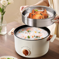 Bouilloire électrique de voyage pliable et portable en acier inoxydable, bol mélangeur personnalisable, 600W, classe énergétique A