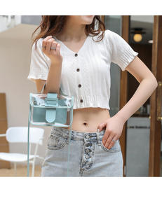 Nouveau petit sac carré transparent sac à bandoulière à une épaule. Z0214 - Product Image 3