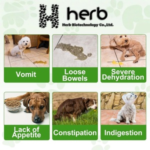 Suplemento Probiótico en Polvo para Mascotas ODM/OEM, Salud Digestiva para Perros y Gatos, Apoyo para el Intestino - Product Image 5