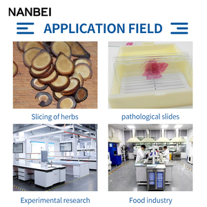 चिकित्सा माइक्रोटोम स्लाइडिंग माइक्रोटोम सेमी स्वचालित कीडे माइक्रोटोम YD-335 - Product Image 6