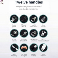 Fortement recommandé : Appareil professionnel V9 à 12 poignées pour la gestion complète de la peau du visage en salon