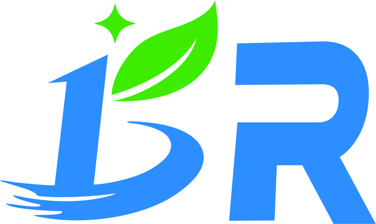 Dongguan Borui Intelligent Technology Co., Ltd. logo