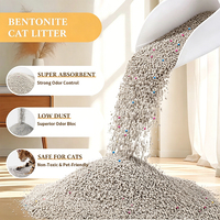 Litière pour chat en bentonite de haute qualité, faible teneur en poussière, facile à nettoyer et sans poussière