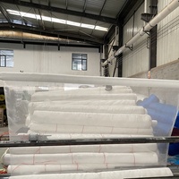 Anti-insectennet voor kaslandbouw, tuin, HDPE anti-vliegennet voor fruitbomen, insectenwerend net