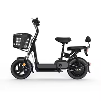 Vélo électrique 24 pouces avec panier 350W 48V 13Ah moteur puissant pour les trajets en ville et la saleté