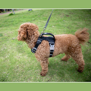 2024年版 RYXB犬用ハーネス 反射素材 防水ポリエステル製 パッド入りハンドル クイックリリース 二つのリードアタッチメント付き - Product Image 4
