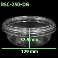 250 450 Ml Mini Plastic Snoepdoos Recyclebare Voedselverpakking Fruit Plastic Doos Container
