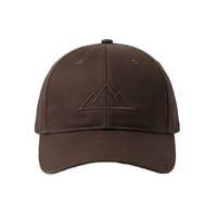 Gorras de Béisbol Personalizadas con Logotipo, 100% Algodón Twill, Nueva Llegada, Ajustables, Unisex, Bordado 3D, Impresión OEM, Tu Marca