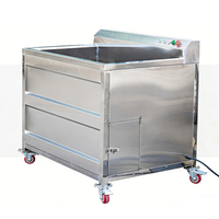 Automatische enkel- en dubbelcilinder ultrasoon bubbelreiniger voor fruitpuree, bladgroenten en reinigingsmachine
