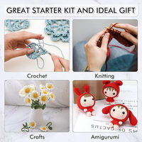OEM Logo personnalisé Vente en gros Crochet Aiguille Outils de couture Set 106 Pièces Accessoires Crochet Kit avec fil